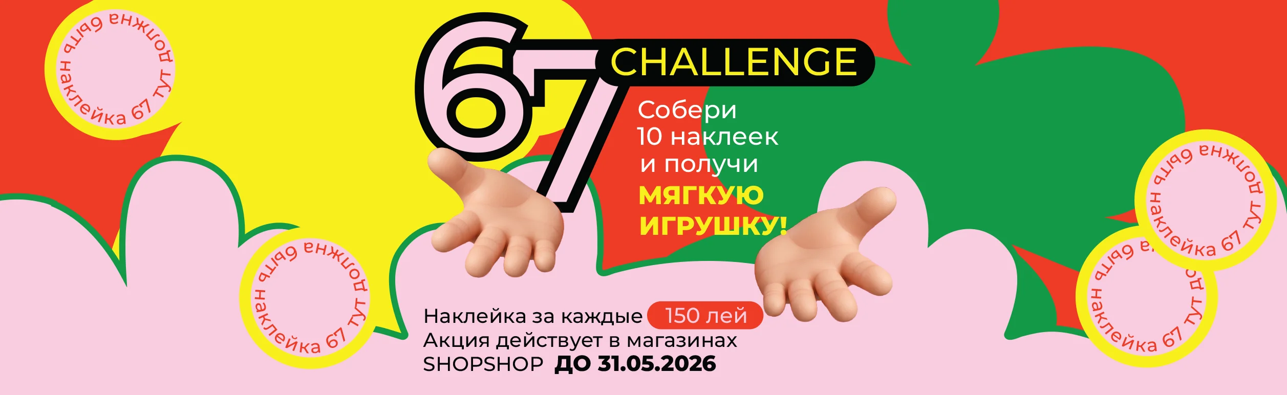 Slide 8