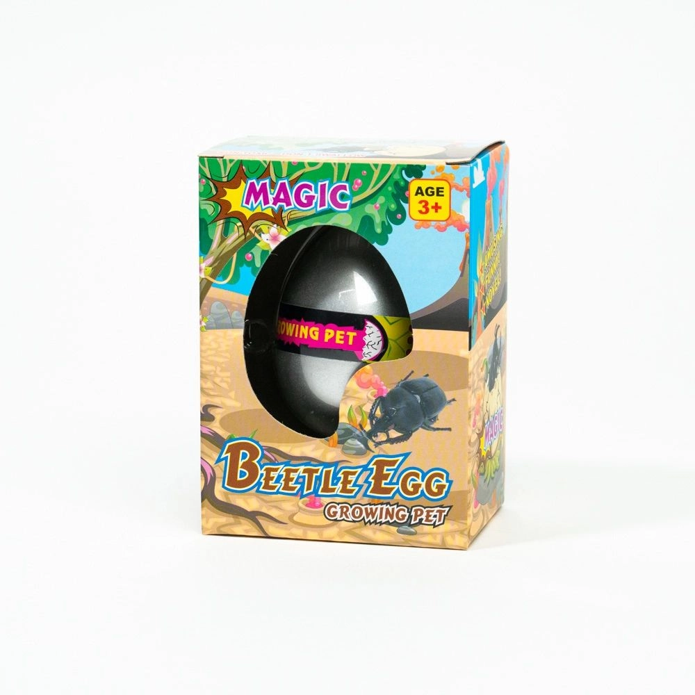 Growing egg toy Beetle