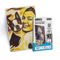 Mozaic cu diamante QBRIX Pop-Art (A4, 22000 pietre)