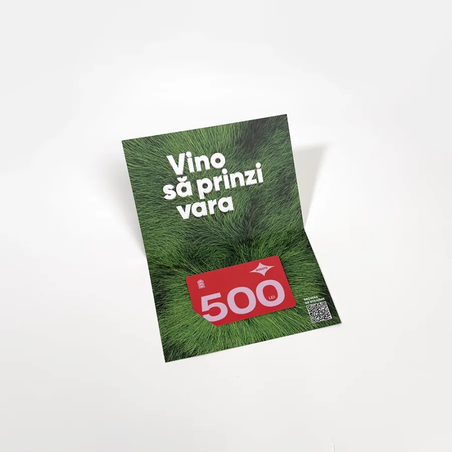 Certificat 500 lei 