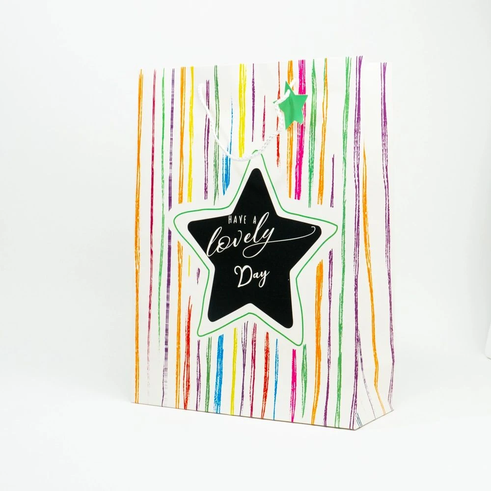 Gift bag 31*42*12 cm Shopshop