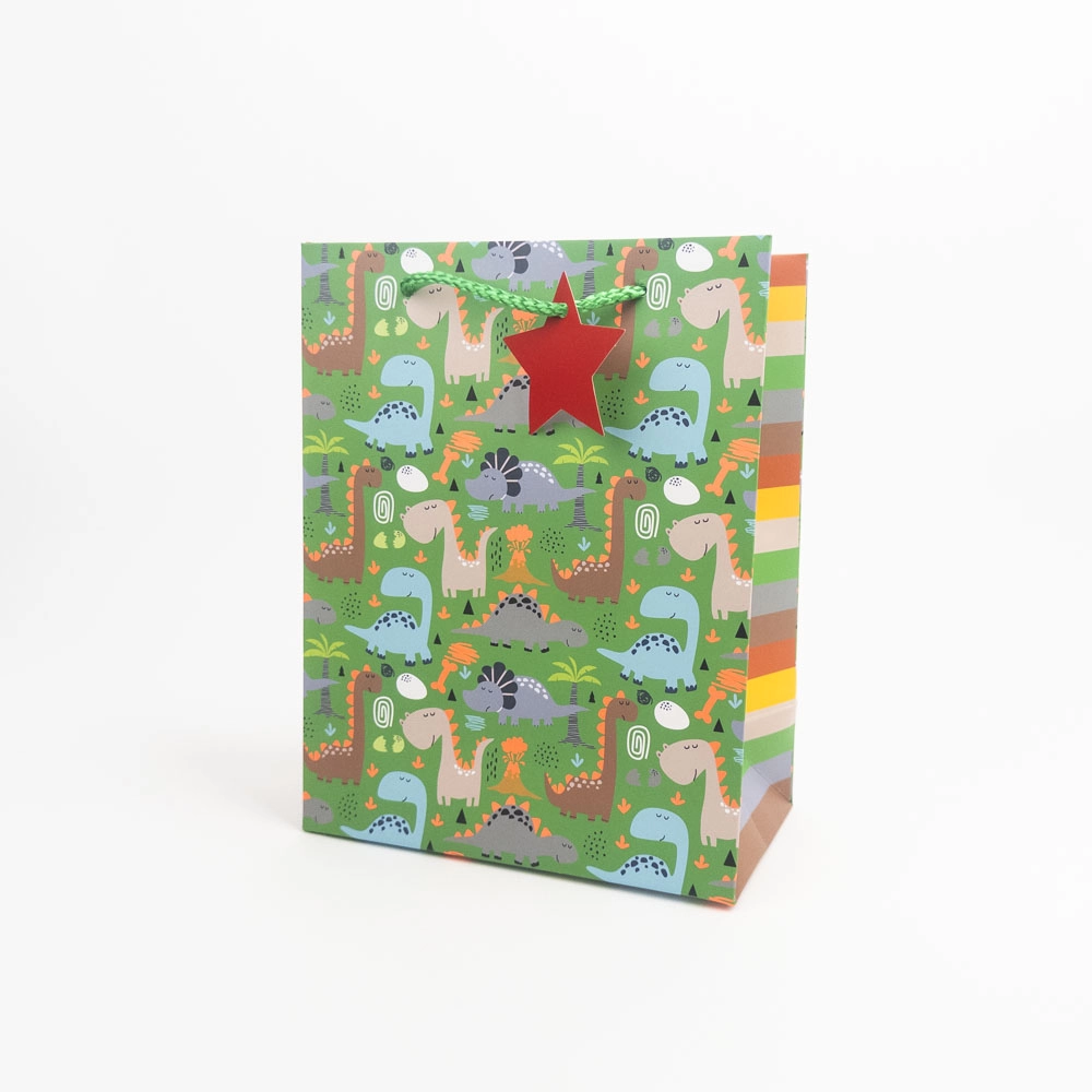 Gift bag 18*23*10 cm Shopshop