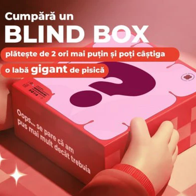 Surprise Box