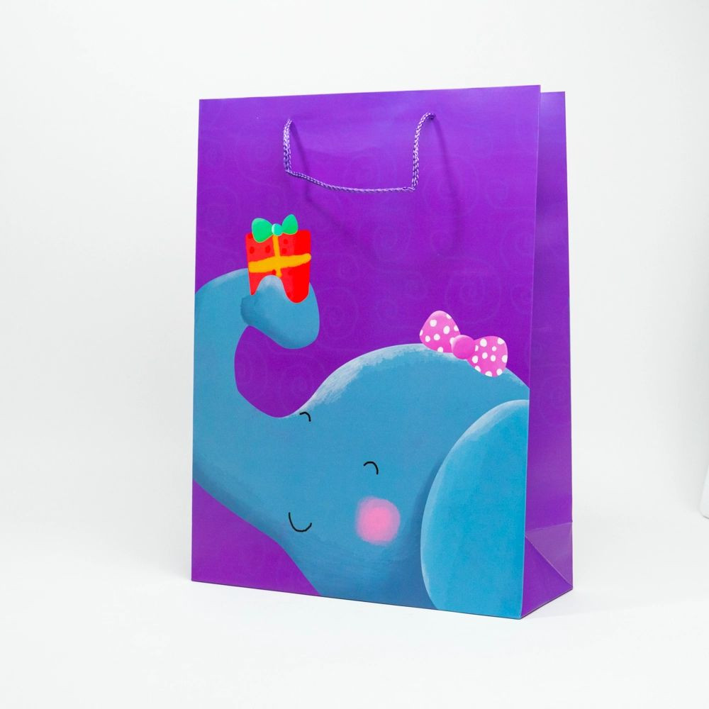 Пакет подарочный 18*23*10см Shopshop